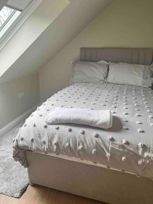 Mid Antrim Modern Apartment Newferry Dış mekan fotoğraf